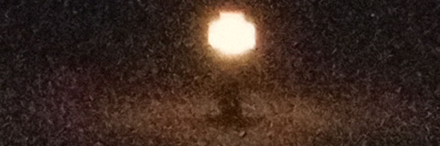 SledgeIsntHere's profile banner image