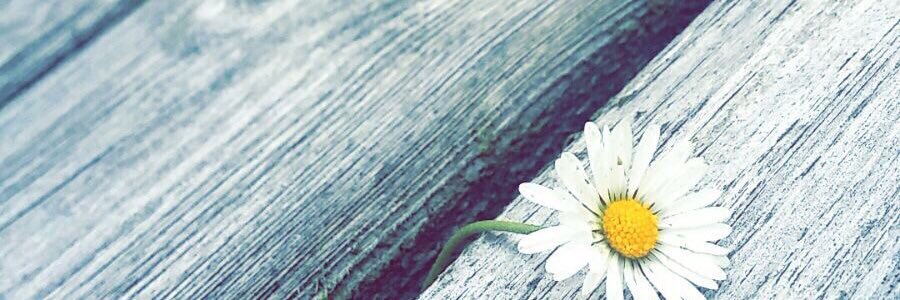 غُربة الروح. banner