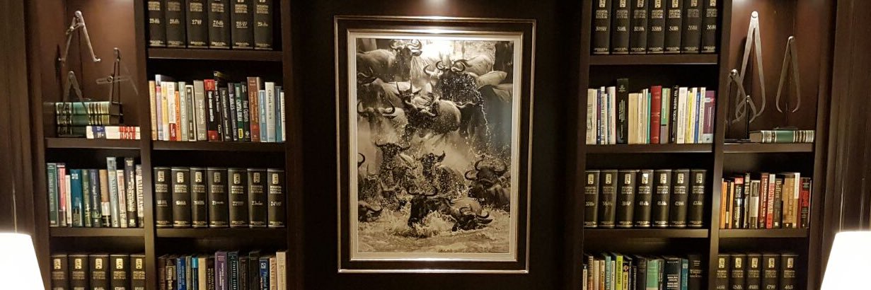 jgariza's profile banner image