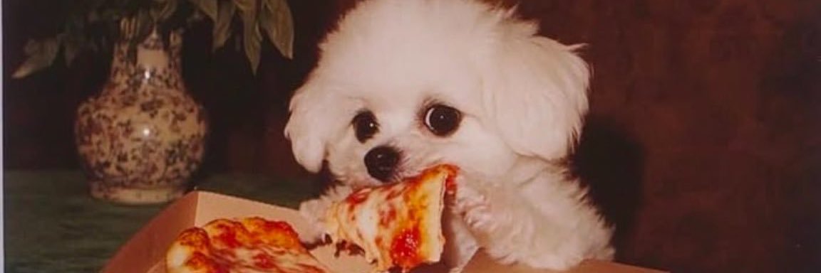 Kokœ 🔞 COMMISSIONS OPEN banner