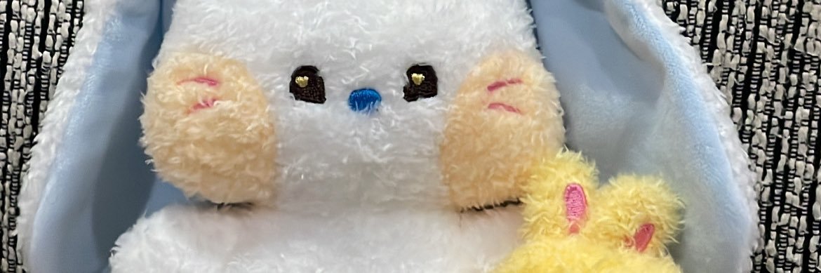 pseanjarin's profile banner image