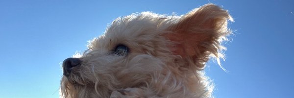 irdx_m Profile Banner