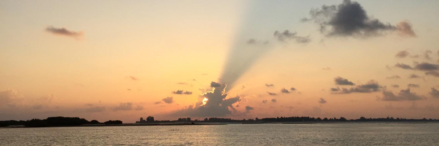 svanboxtel's profile banner image