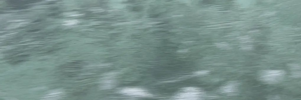 Elaf_mohd2's profile banner image