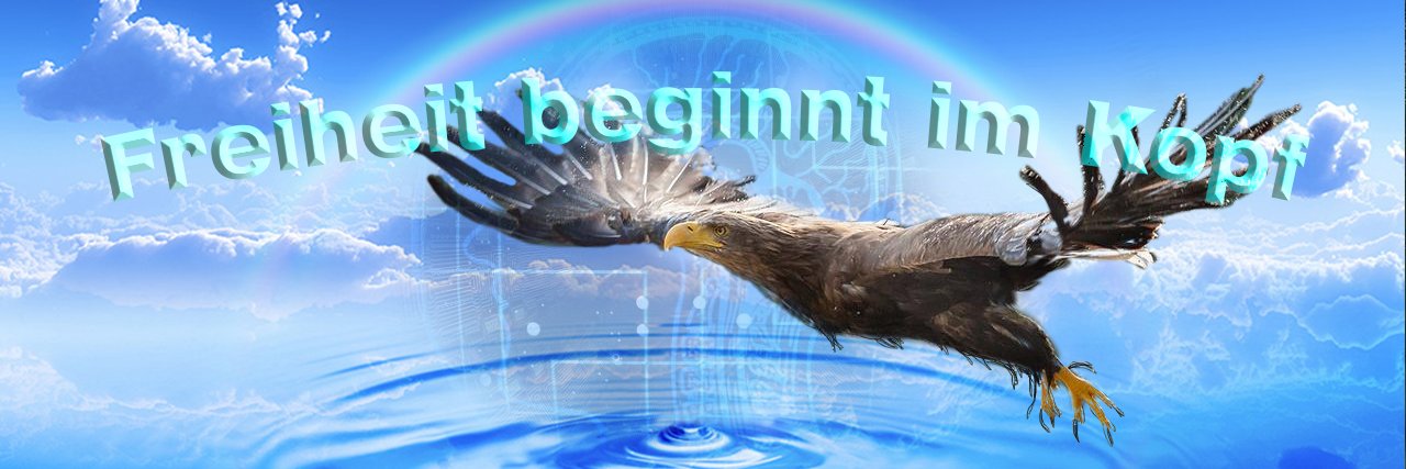 for peace 🗽🇩🇪 🇺🇸🇫🇷🇹🇷🕊️ banner
