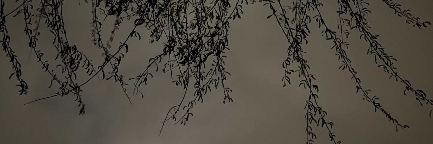 Forlatifasuhail's profile banner image