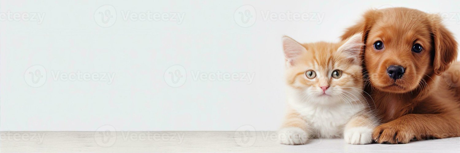 Amelliareys's profile banner image
