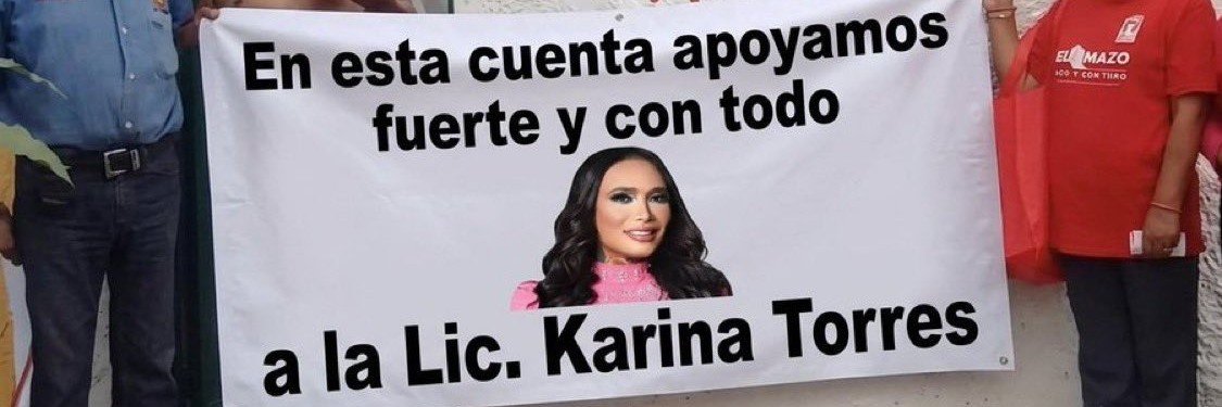torresvige's profile banner image