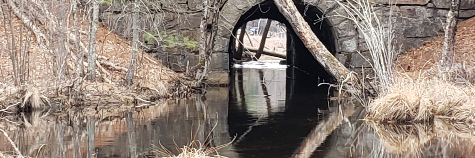 Ageisjustanumber banner