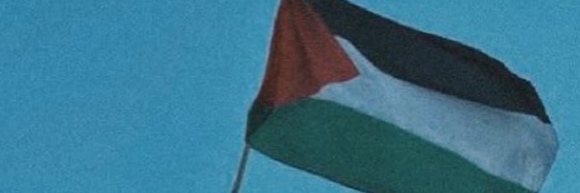 dy🍉 banner