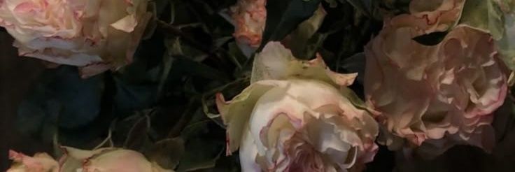 FonHnu's profile banner image