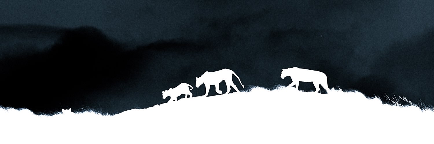 petecayless's profile banner image