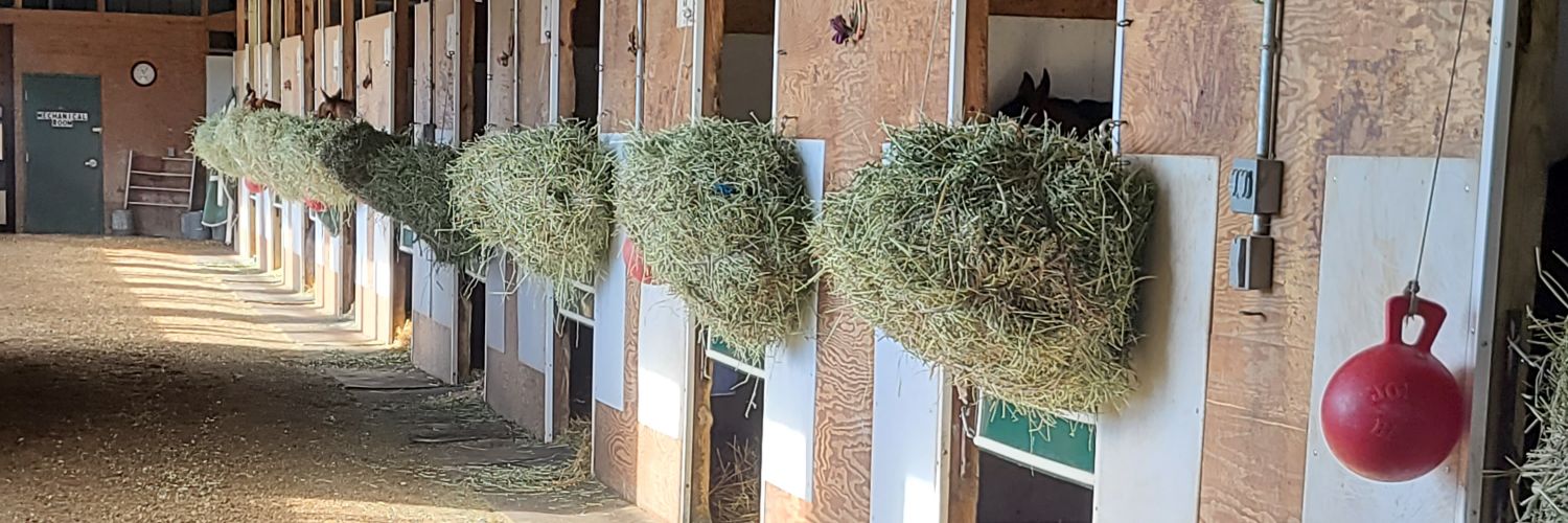 Michael M Moore banner