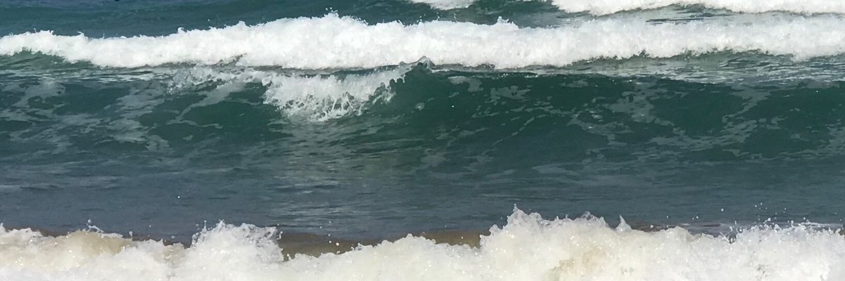NUNU banner