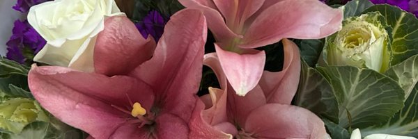 hiciyideglimm Profile Banner