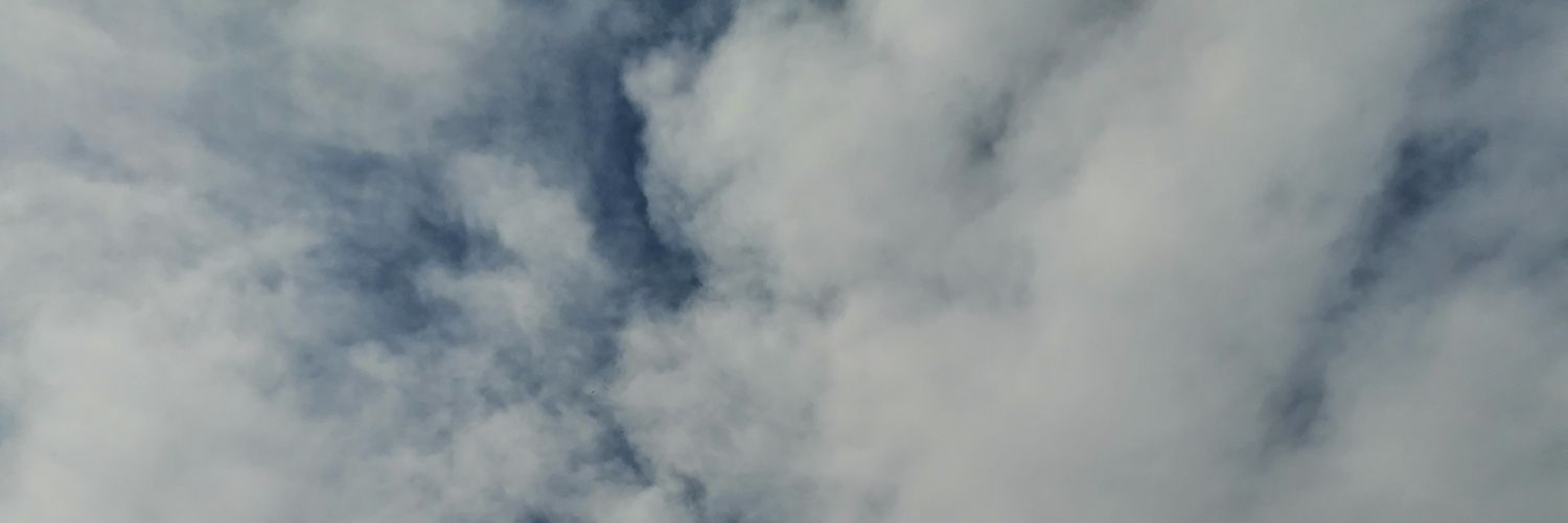 DandelionHyun's profile banner image