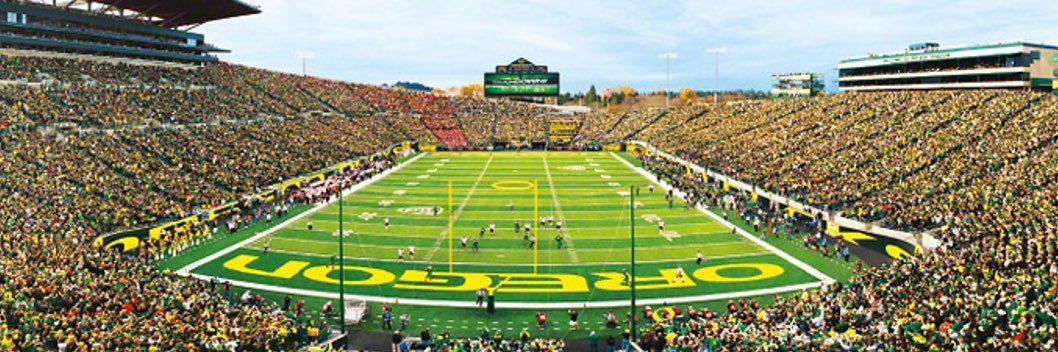 Pugnacious Ducks banner