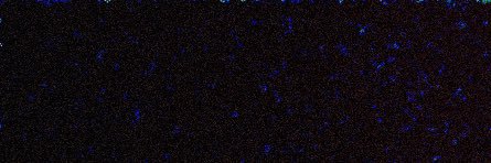 colourcharlie's banner