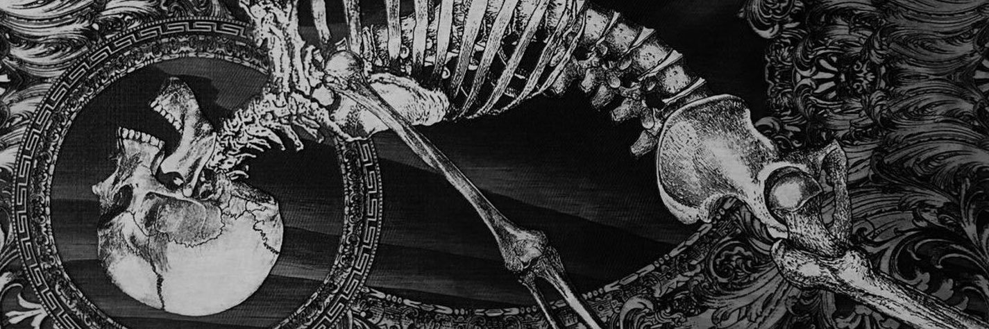 meikuph's profile banner image
