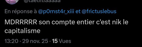 frictuslebus Profile Banner