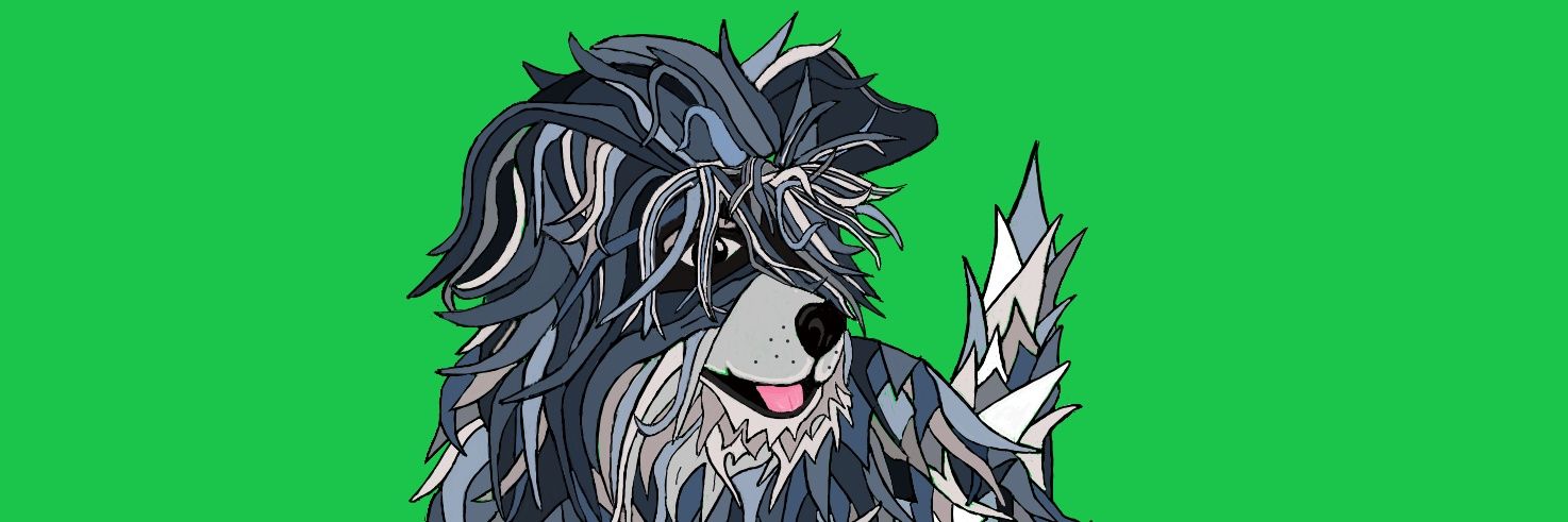 XCHDog🌱 banner