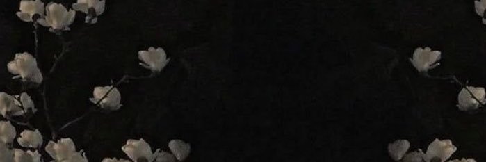 xll8iix's profile banner image