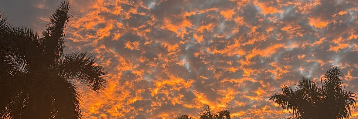 DistriCt Darrell banner