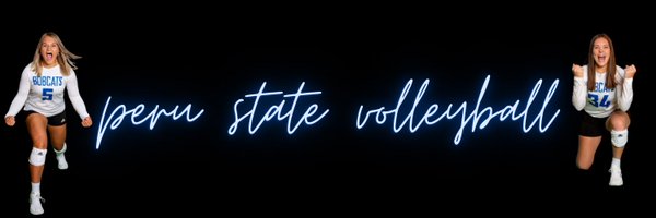 PSCBobcatVball Profile Banner