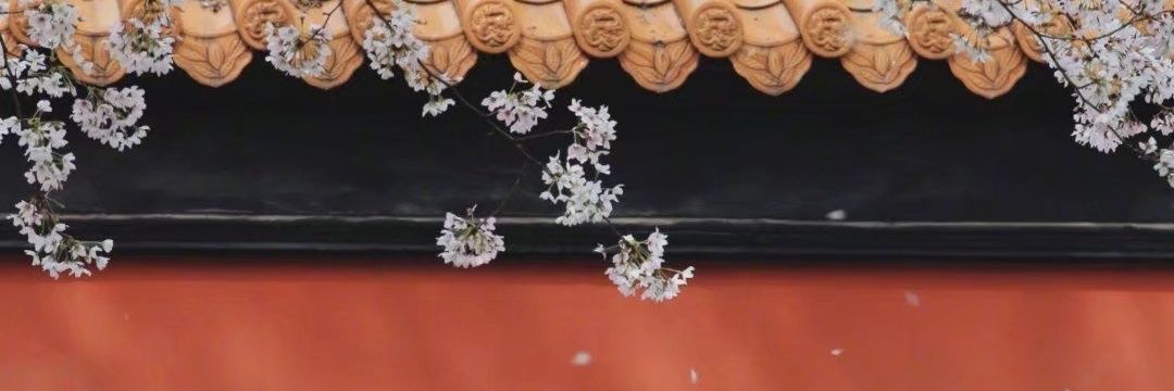 无极 banner