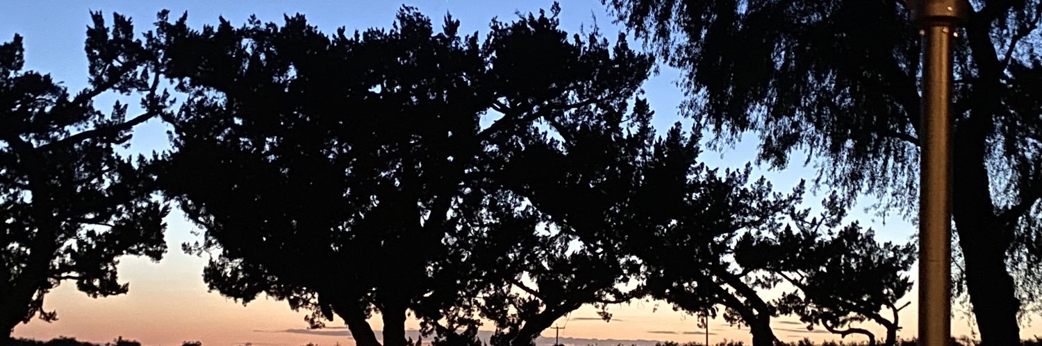 Dave Moorhead banner