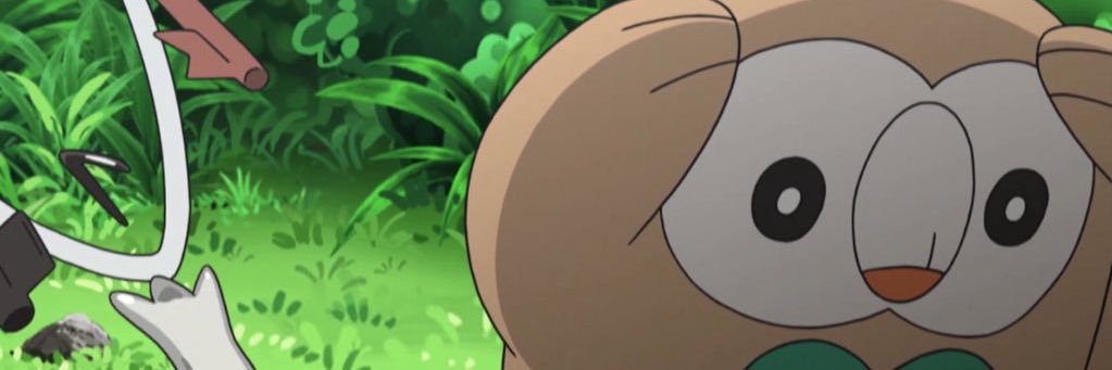 Environmentally Epic banner