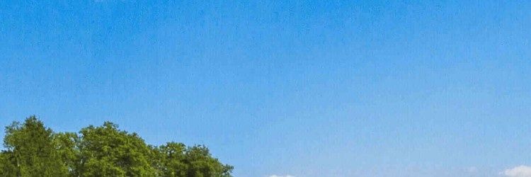 Markelangelo's profile banner image