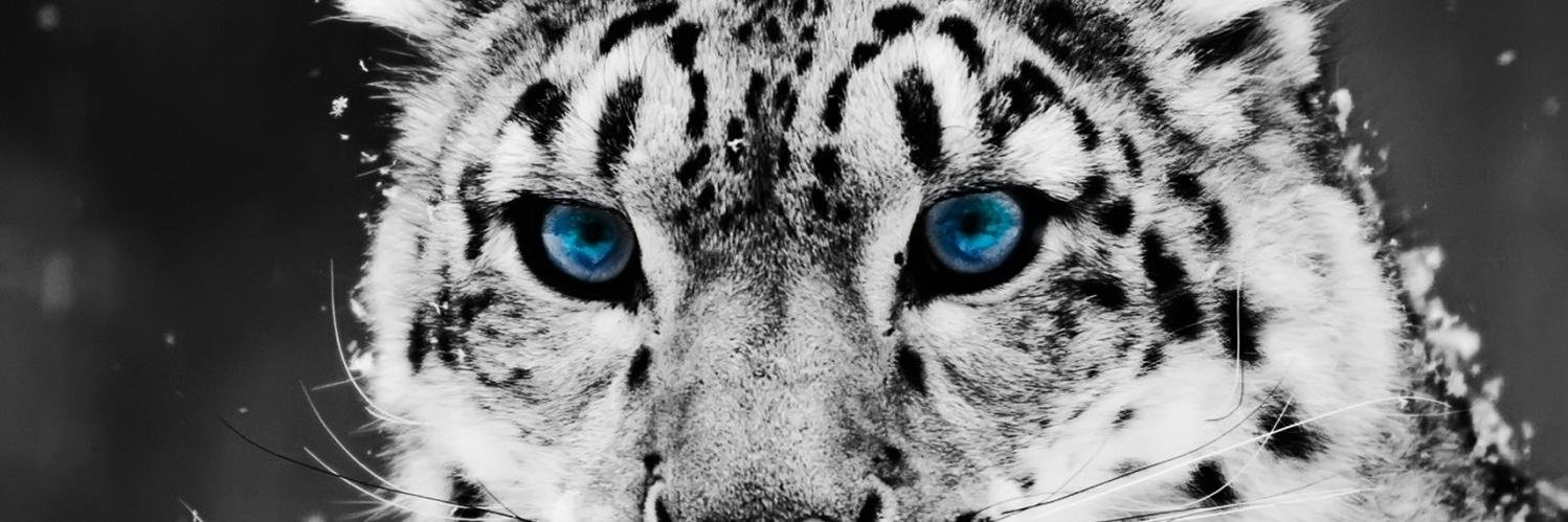 estefanumut's profile banner image