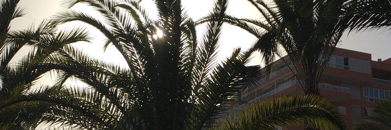 saracabrera's profile banner image