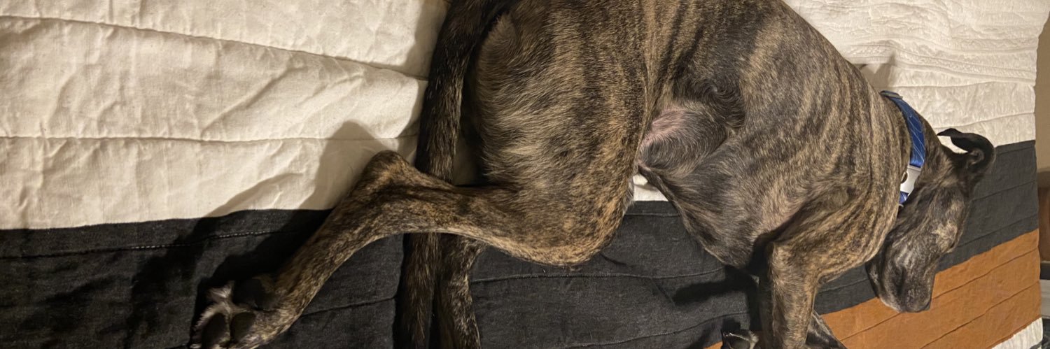 Whitney Joseph banner