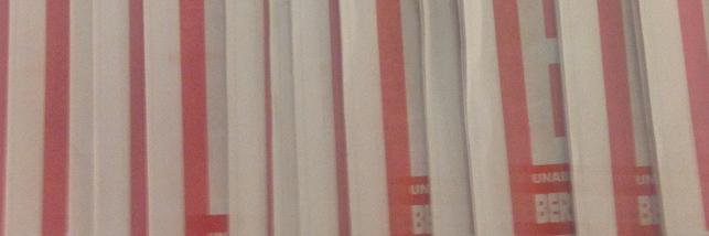 BILD Investigativ banner