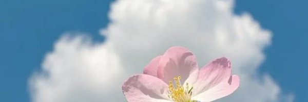 PrinsaRaj Profile Banner