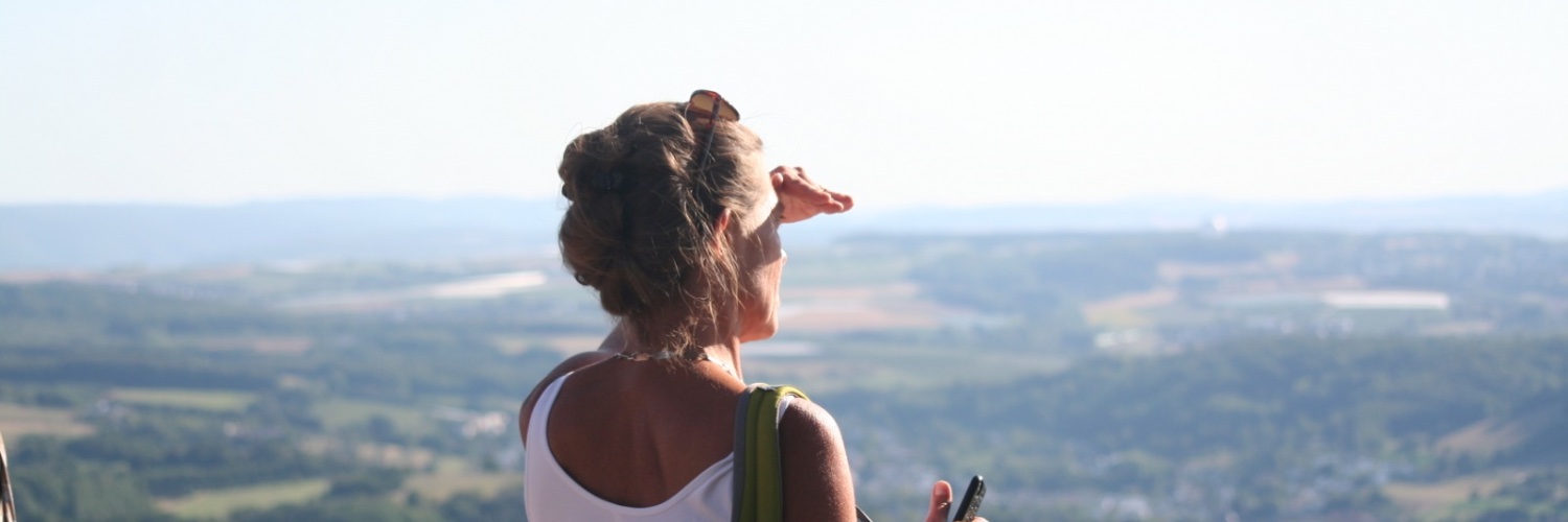Sonja Friese banner
