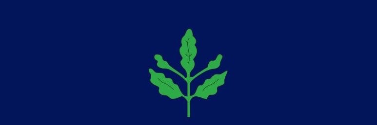 volkankpdg's profile banner image