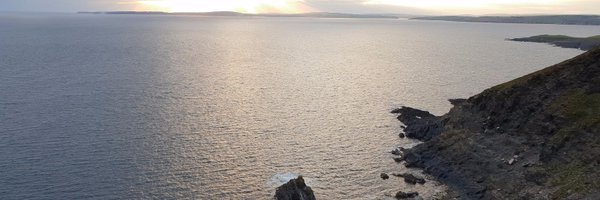 aoiferigney Profile Banner