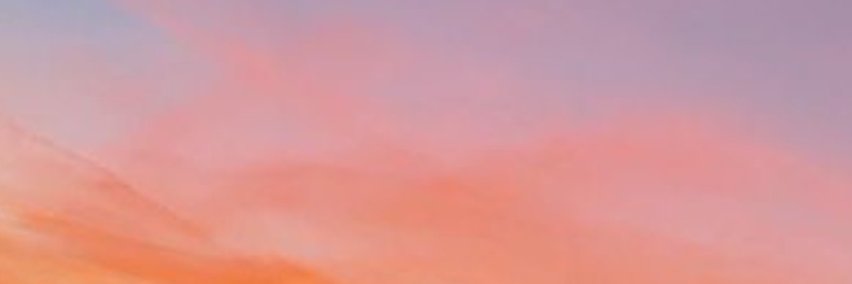 Profile banner