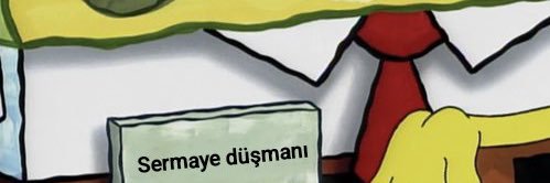 Bill 🇵🇸 banner