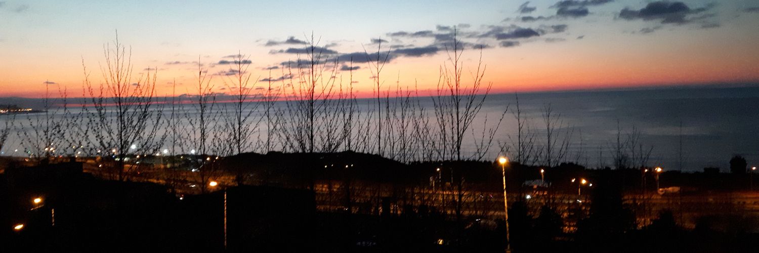 binnuryzc's profile banner image