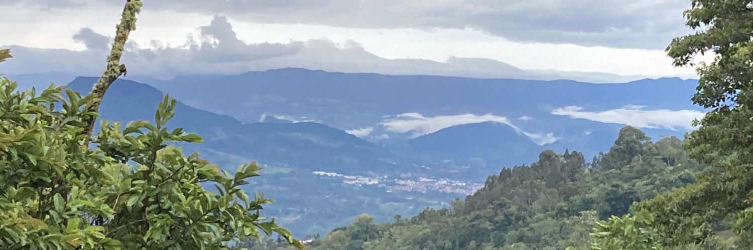 antamayos's profile banner image