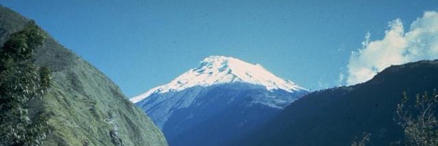 Luisa Leon banner