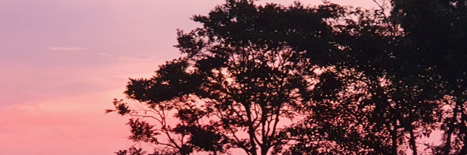 bhuwang1981's profile banner image