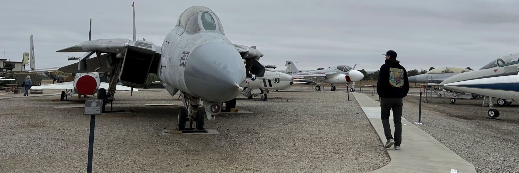 Puzzled Trump banner