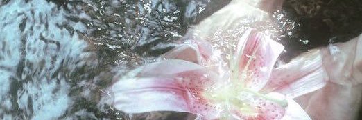 beelimiaz's profile banner image