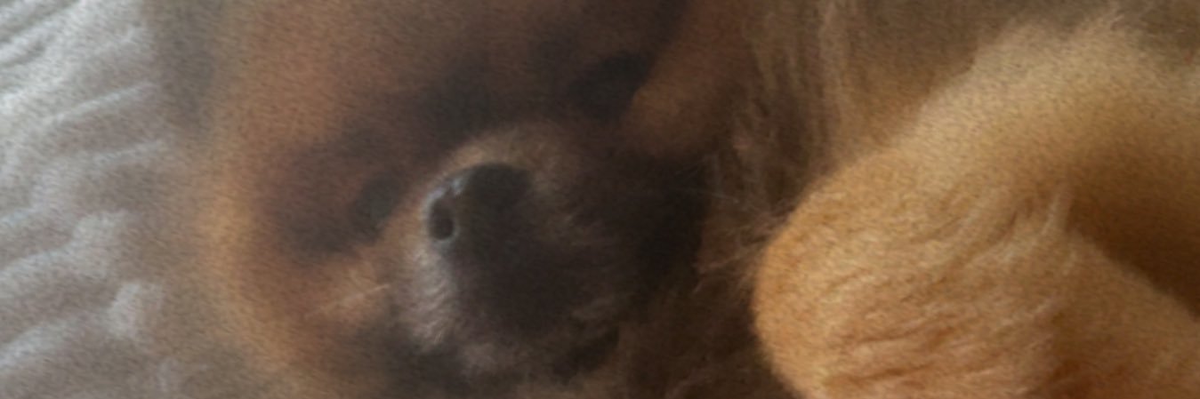 easydoesit2022 banner