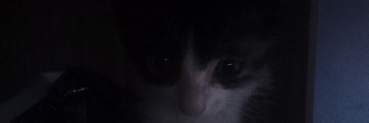 kinta_09's profile banner image